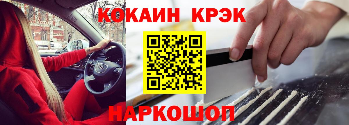 A PVP Камышин