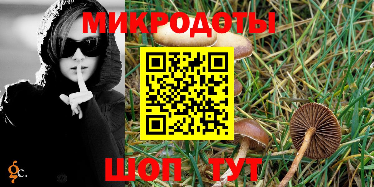 Галлюциногенные грибы Psilocybe  Галлюциногенные грибы Psilocybine cubensis  Вход с VPN  Камышин 