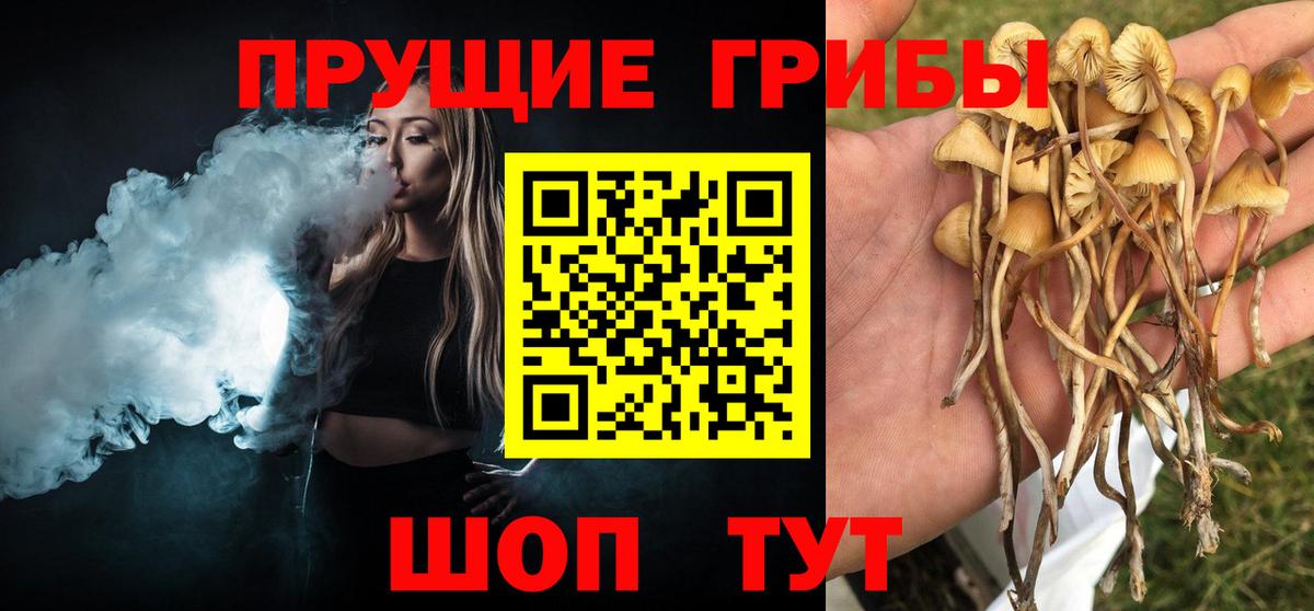 Галлюциногенные грибы Magic Shrooms Камышин
